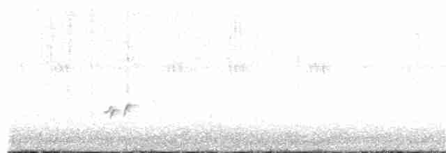 Black-headed Grosbeak - ML244383231