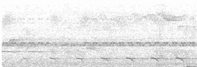 オジロキヌバネドリ（surrucura） - ML244388561