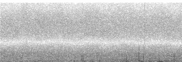 Колібрі-довгохвіст смарагдовий - ML244395