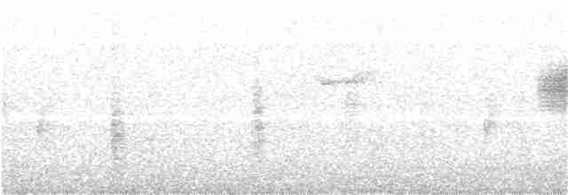 Бледная малая овсянка - ML244397281
