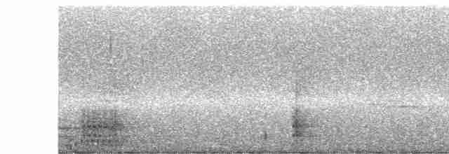 Hooded Mountain-Toucan - ML244403