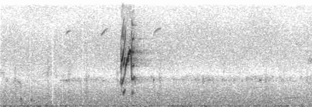 Чернокрылый лорито - ML244407