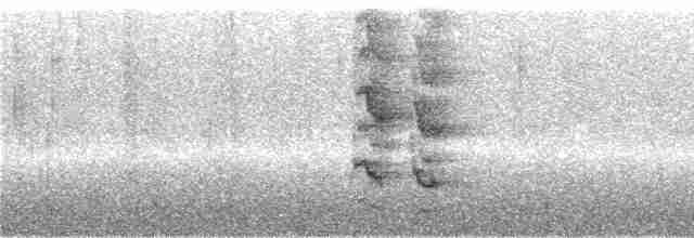 Зелонощёкая которра - ML244415