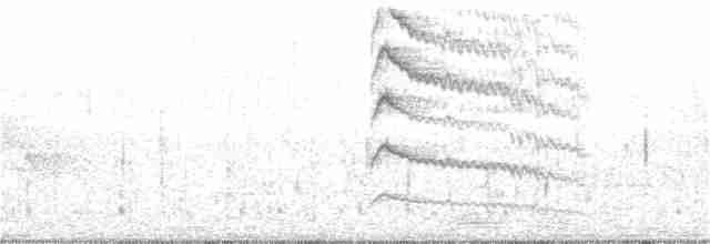 Дятел-смоктун червоноголовий - ML244415501