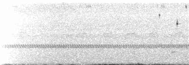 Çekirge Sesli Çayır Serçesi - ML244424681