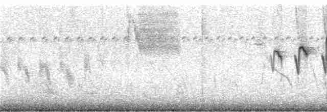 Kestane Gıdılı Tohumcul - ML244476