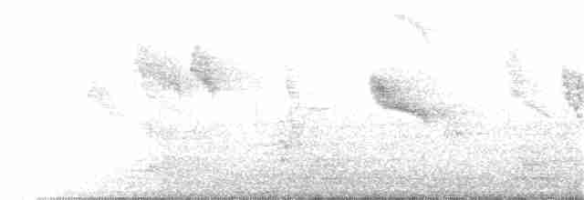Swinhoe's White-eye - ML244479111
