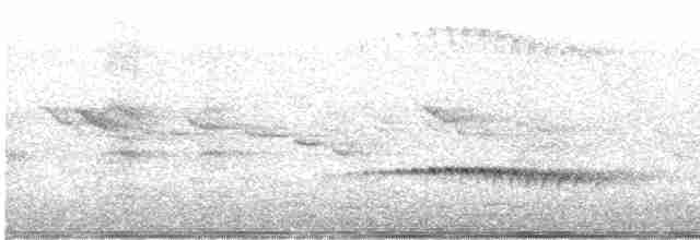 Fan-tailed Cuckoo - ML244480601
