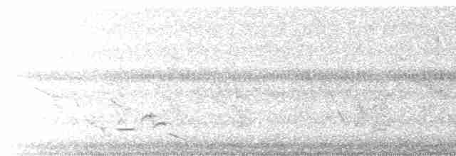 Common Tailorbird - ML244495361