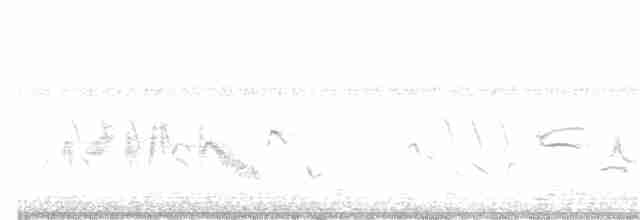 Пеночковый виреон - ML244520011