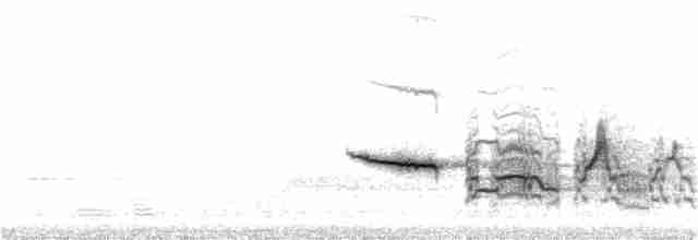 Дрозд-отшельник - ML244536281