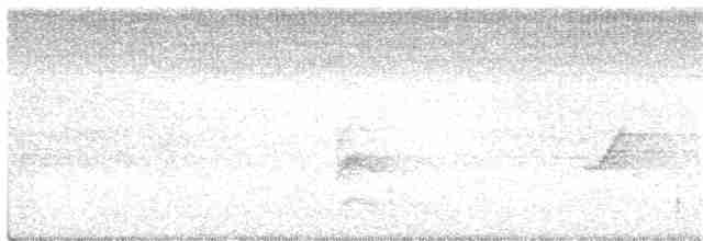Oriole monacal - ML244538821