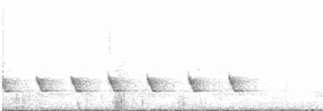Pin-striped Tit-Babbler - ML244652971