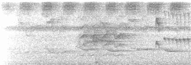 Çizgili Başlı Karıncakuşu - ML244654071
