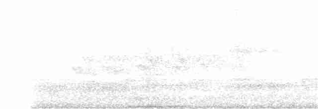 hrdlička kropenatá - ML244674001