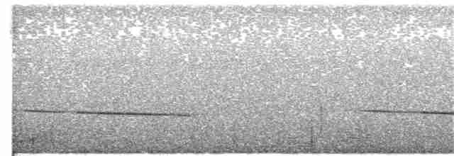 Black-eared Cuckoo - ML244695791
