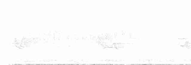 Acadian Flycatcher - ML244707021
