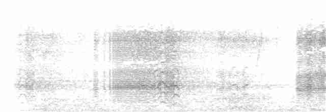 kakadu přílbový - ML244720871