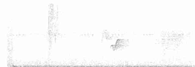 Каролинский крапивник - ML244727421