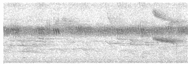 Окулярник південний - ML244747441