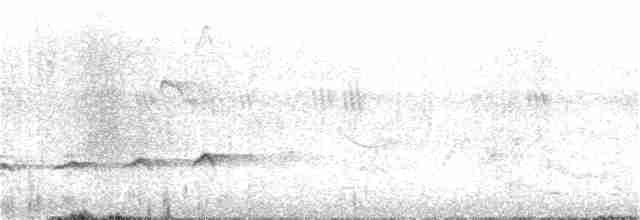 Fork-tailed Drongo-Cuckoo - ML244750021