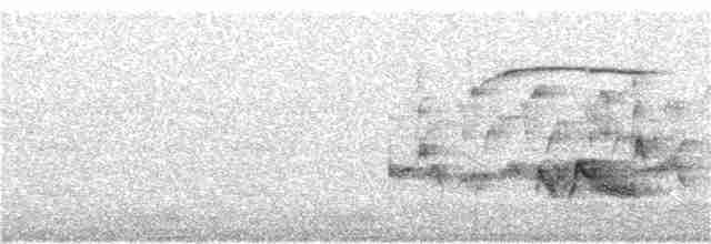 drozdec hnědý - ML244769351