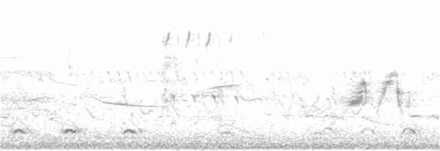 Кузнечиковая овсянка-барсучок - ML244769601