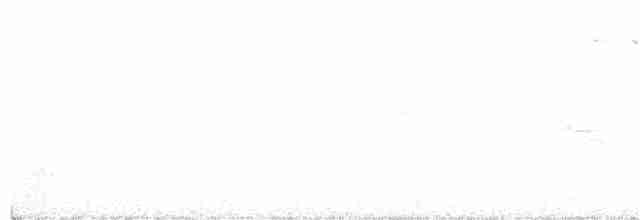 Пестрогорлый соловьиный дрозд - ML244772491