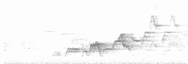Дрізд-короткодзьоб Cвенсона - ML244772511