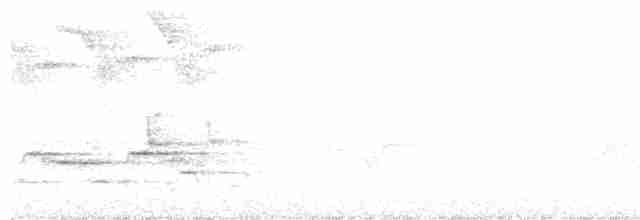 Дрізд-короткодзьоб плямистоволий - ML244772551