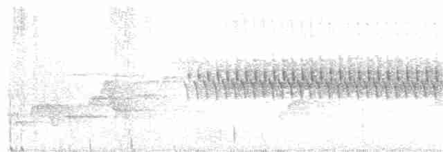ユキヒメドリ（hyemalis／carolinensis） - ML244772611