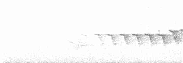 キヅタアメリカムシクイ（coronata） - ML244772661