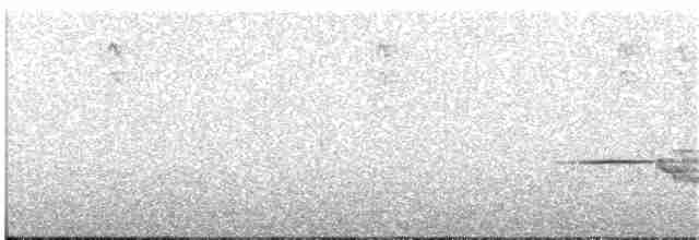 Münzevi Bülbül Ardıcı - ML244779961