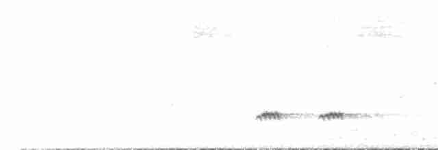 Домовый крапивник - ML244801141