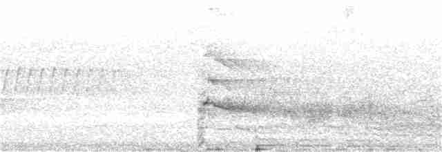 Краснохвостый канюк (borealis) - ML244836711