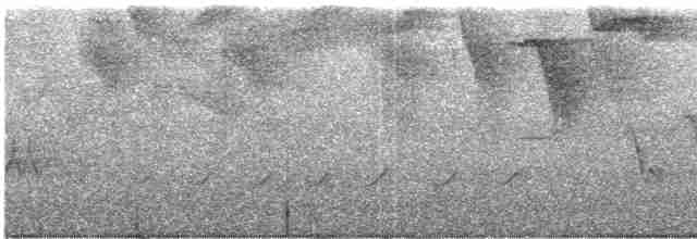 Ak Kaşlı Çalı Serçesi - ML244852