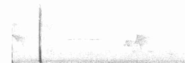 Çivi Vireosu - ML244853281
