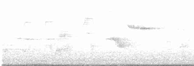 Kentucky Warbler - ML244863231
