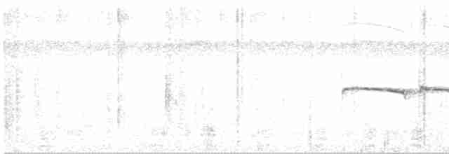 Northern Beardless-Tyrannulet - ML244872491