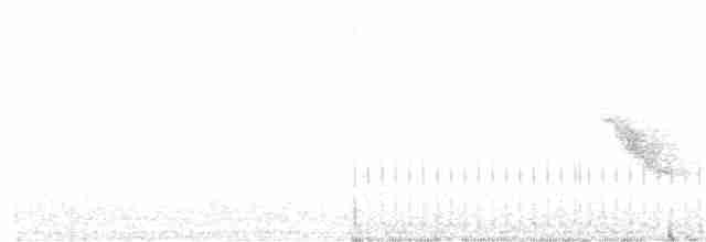 ヒスパニオラチャツグミ - ML244894331