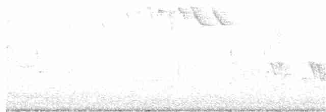 Kentucky Warbler - ML244912191
