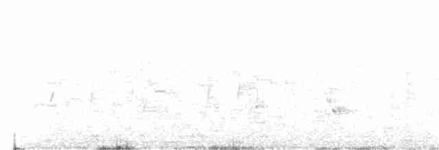 Белоголовая мохуа - ML244935821