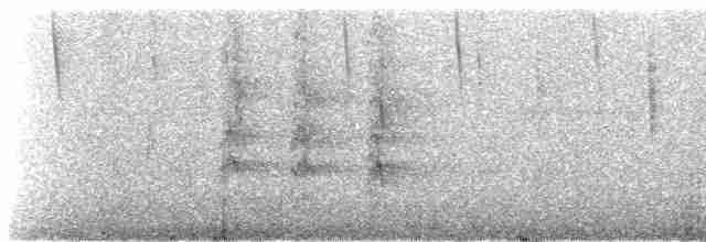 Зелонощёкая которра - ML244938