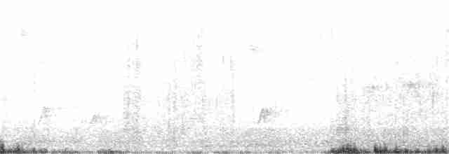 Brown-crested Flycatcher - ML244938471