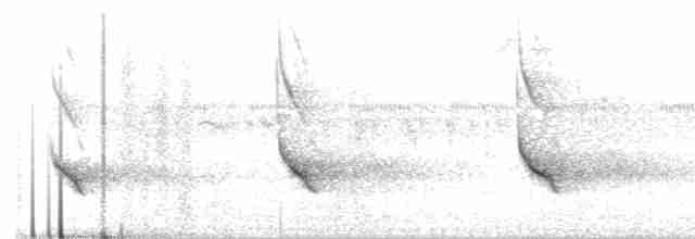 Fischadler (carolinensis) - ML244944441