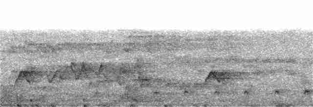 White-collared Kite - ML244950611