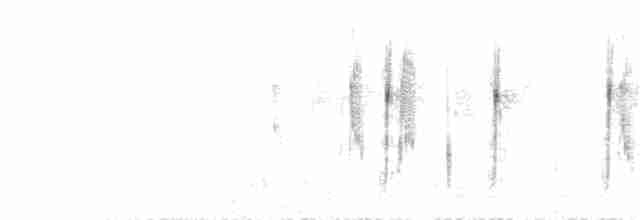 Gray-hooded Sierra Finch - ML244951161