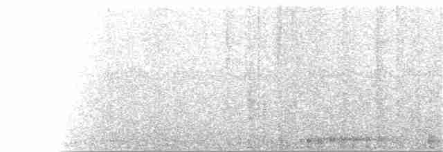 Ібіс каєнський - ML244959231