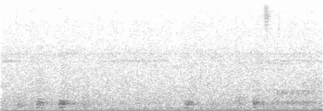 Ібіс каєнський - ML244960511