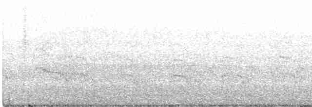 Common Tern - ML244968671